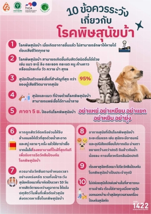 10 ข้อ ควรระวังโรงพิษสุนัขบ้า